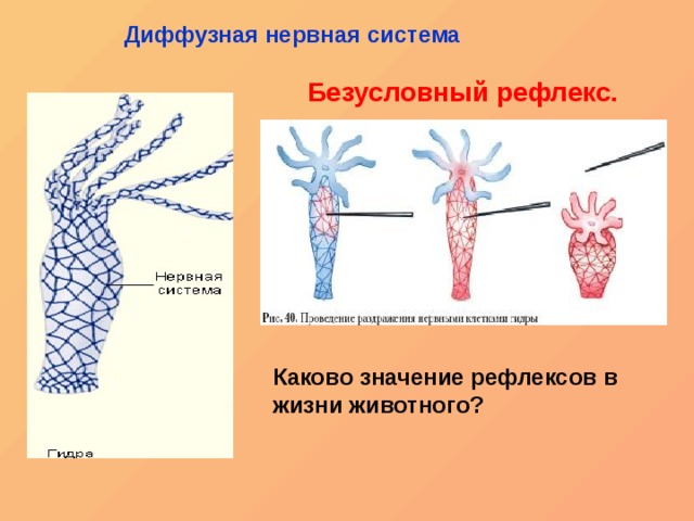 Kraken официальные зеркала